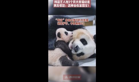 中国野生动物保护协会去函韩国动物园，要求停止非专业人士与大熊猫幼崽接触